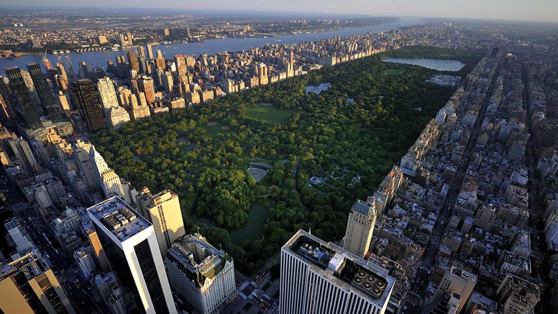 Central Park Massaker In New York