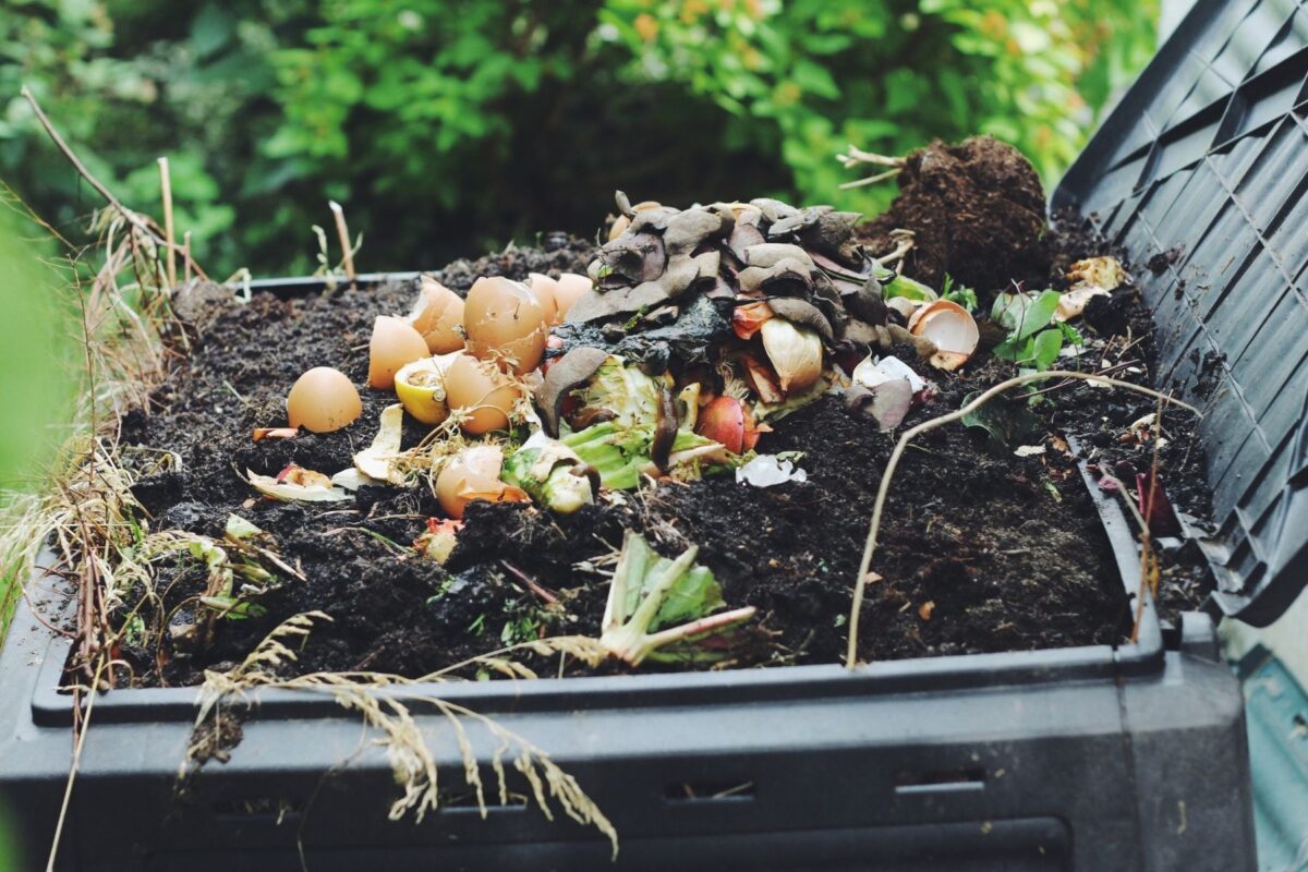 Tips para aprender a compostar los residuos orgánicos en casa | IMPULSO
